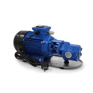 پمپ گازوئیل کش دنده ای 750 وات WCB-75